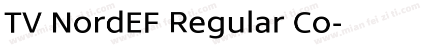 TV NordEF Regular Co字体转换